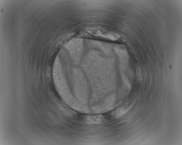 X0000061140571200512161533