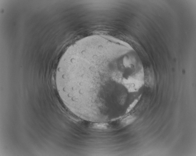 X0000061140573200512161533