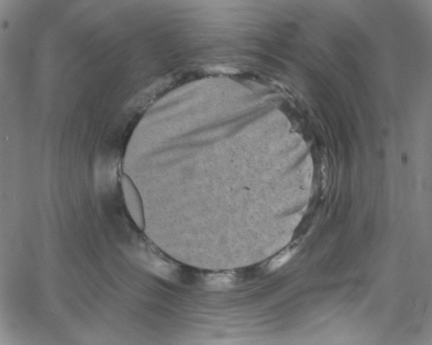 X0000061140574200512161533