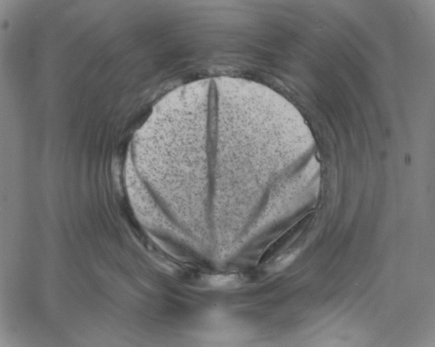 X0000061140575200512161533