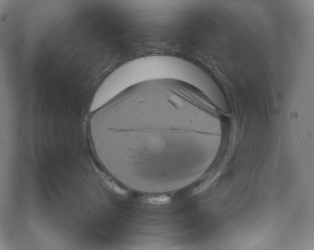 X0000061140576200512161533