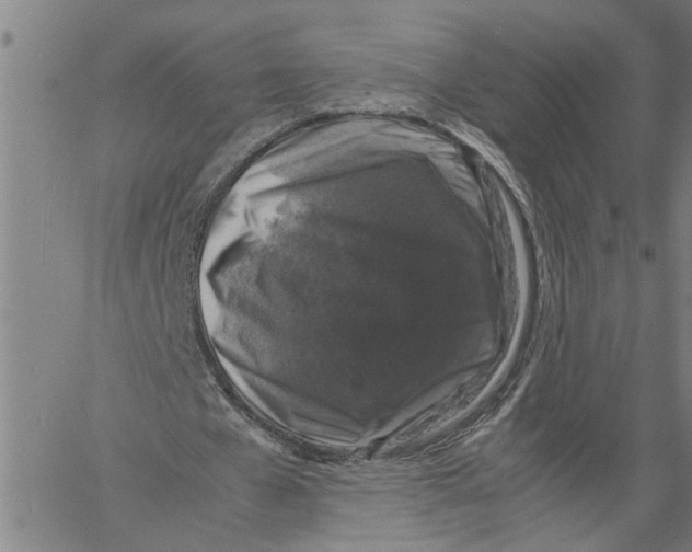 X0000061140577200512161532