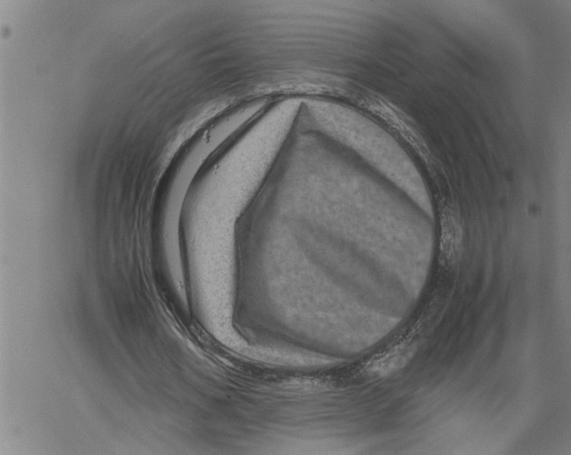 X0000061140578200512161532