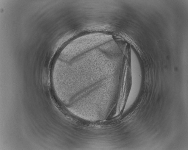 X0000061140582200512161532