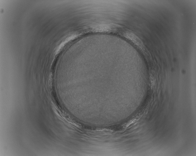 X0000061140583200512161532