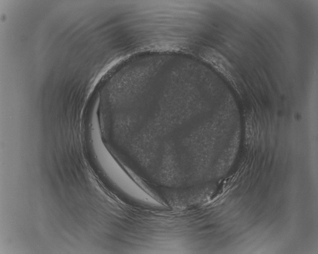 X0000061140584200512161532