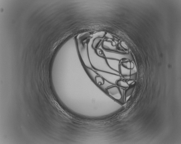 X0000061140585200512161532