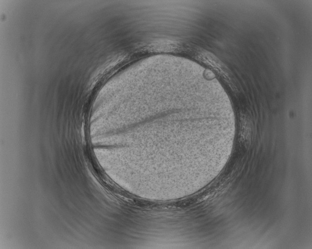 X0000061140586200512161532