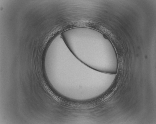 X0000061140589200512161532