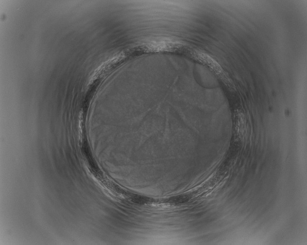 X0000061140590200512161532