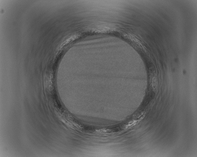 X0000061140591200512161532