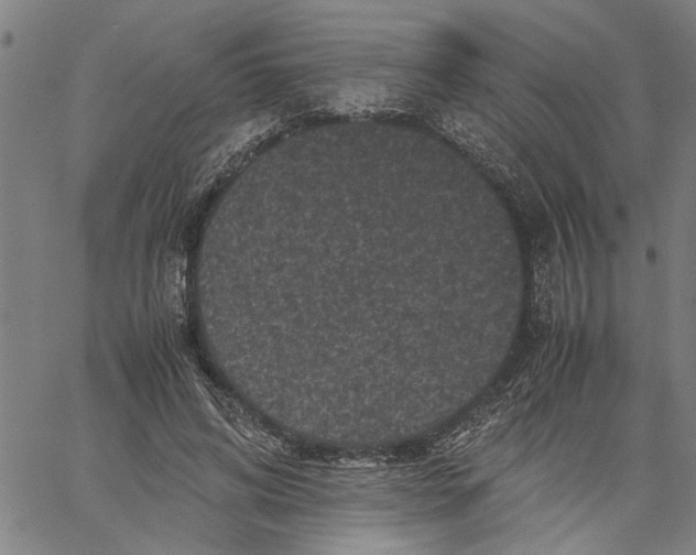 X0000061140592200512161532