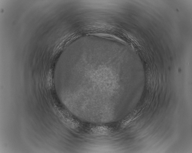 X0000061140594200512161532