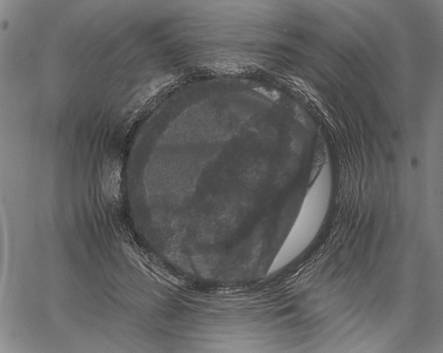 X0000061140596200512161532