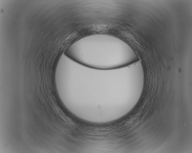 X0000061140597200512161532