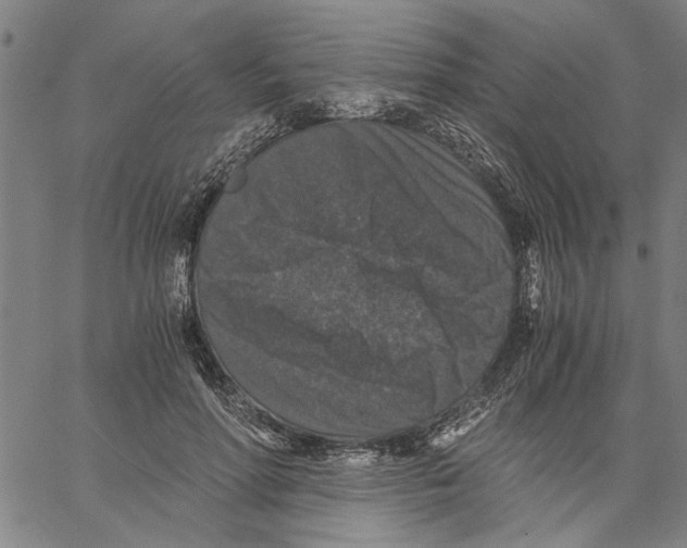 X0000061140598200512161532