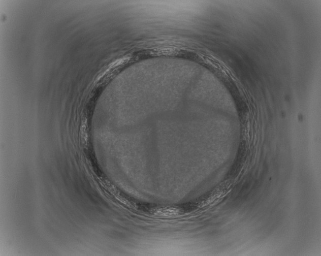 X0000061140599200512161532