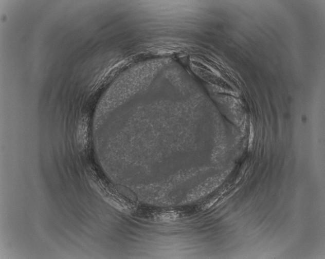 X0000061140600200512161532