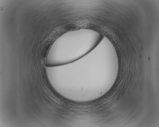 X0000061140601200512161532