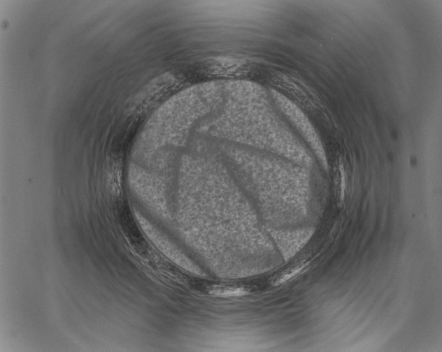 X0000061140602200512161532