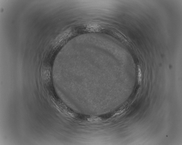 X0000061140603200512161532