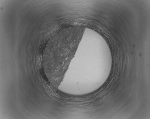 X0000061140605200512161532