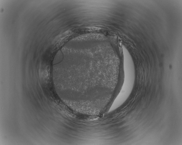 X0000061140608200512161532