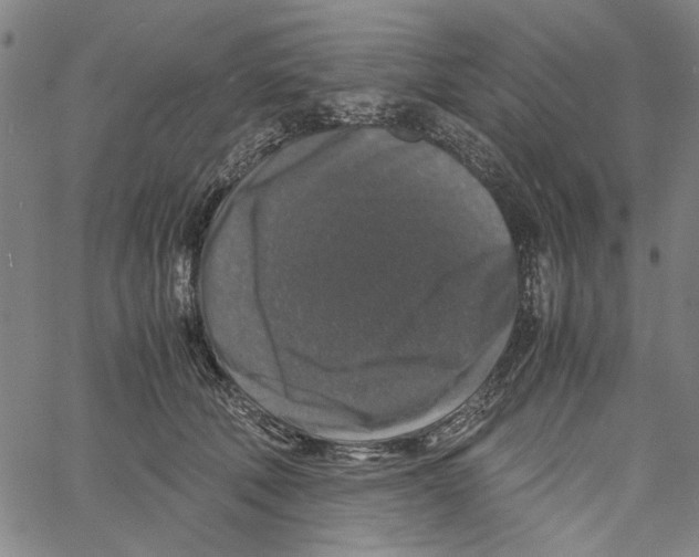 X0000061140610200512161532