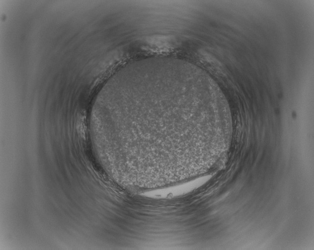 X0000061140612200512161532