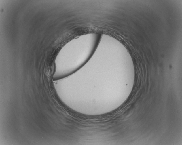 X0000061140613200512161532