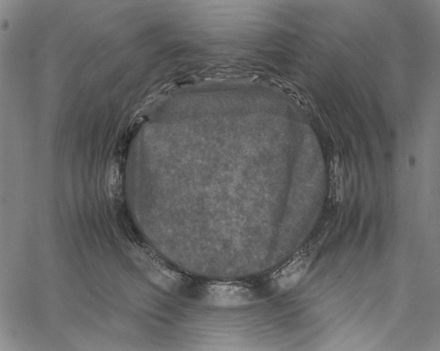 X0000061140614200512161532