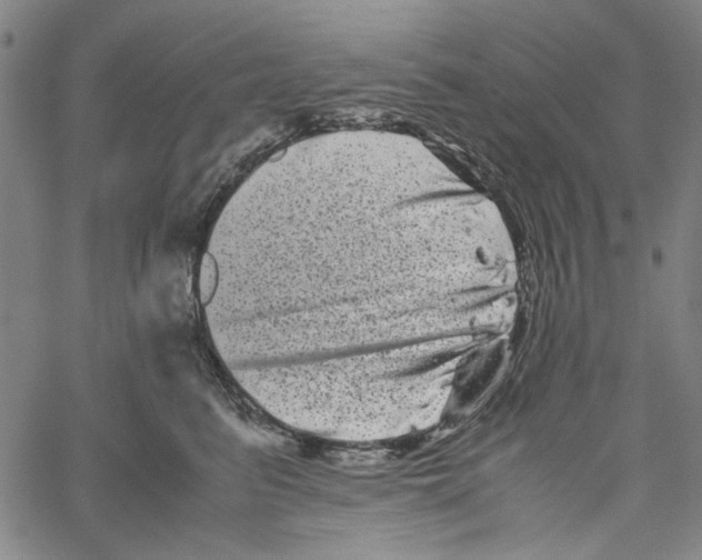 X0000061140615200512161532