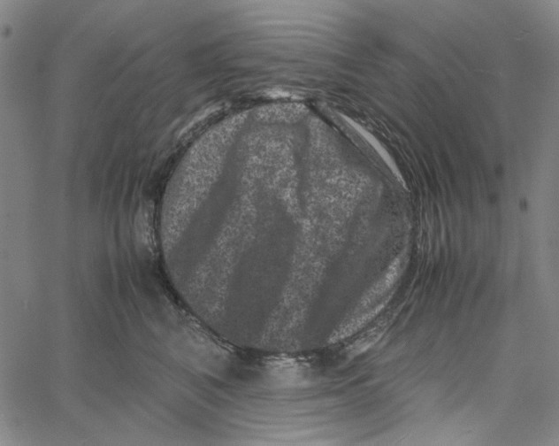 X0000061140616200512161532