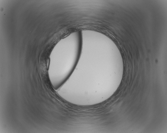 X0000061140617200512161532