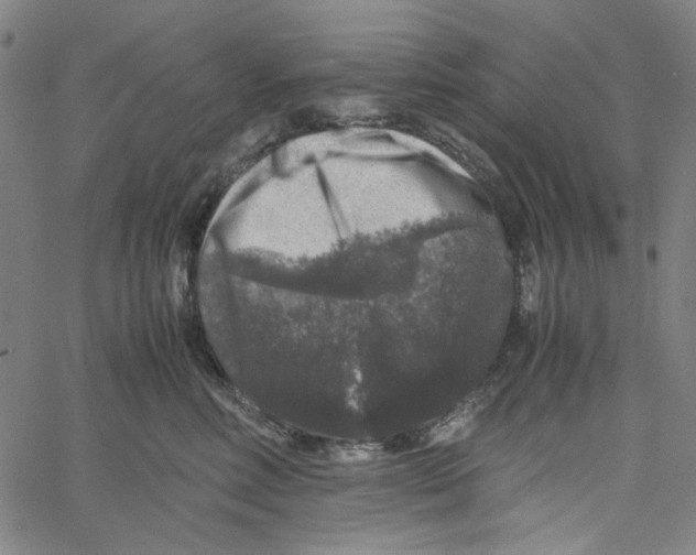 X0000061140618200512161532