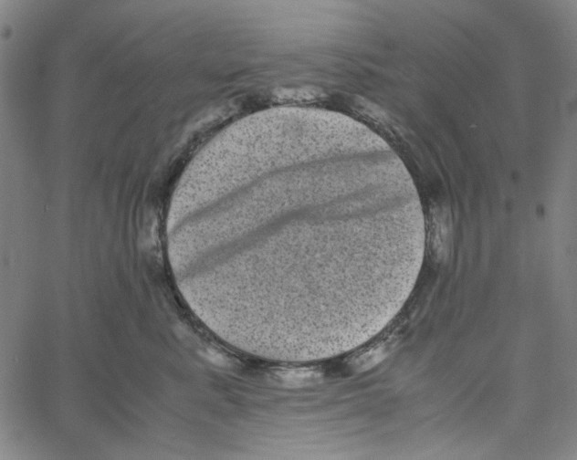 X0000061140619200512161532