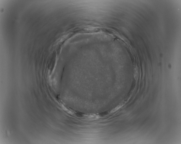 X0000061140621200512161532