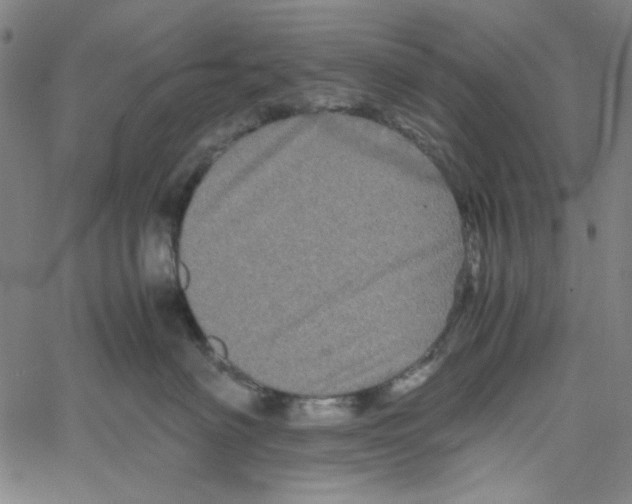 X0000061140622200512161531