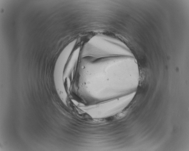 X0000061140623200512161531