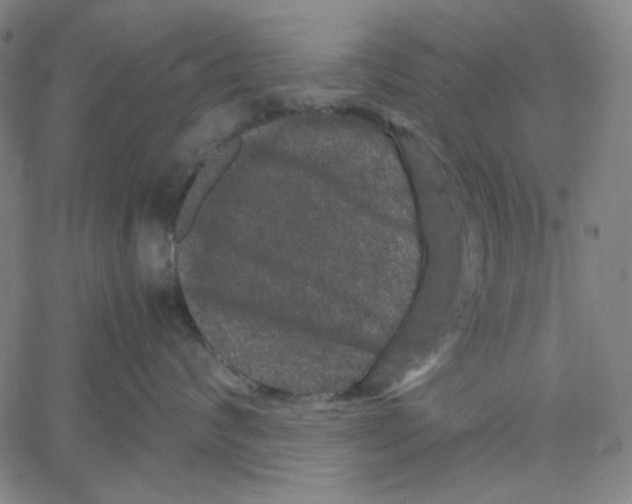 X0000061140624200512161531