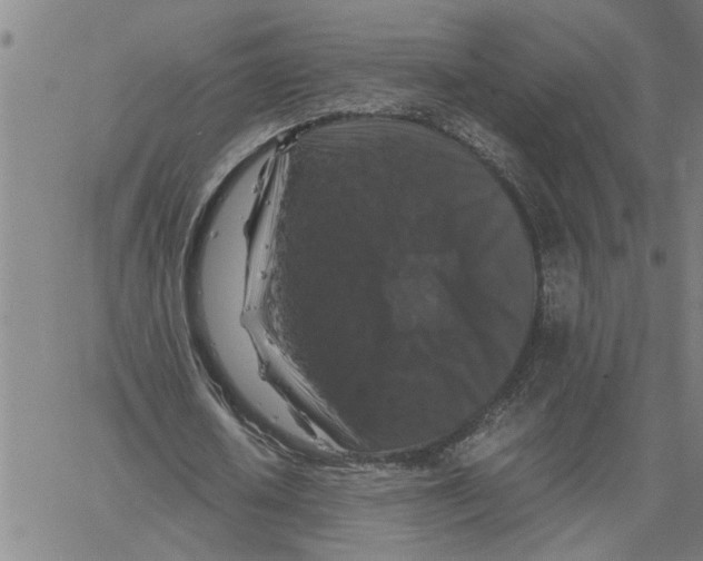 X0000061140626200512161531