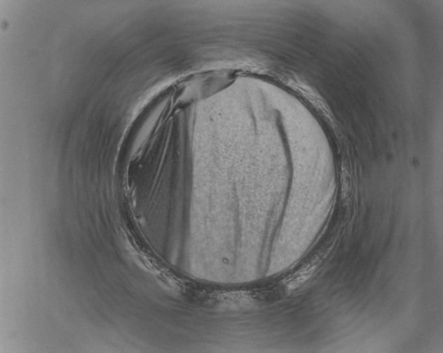 X0000061140628200512161531