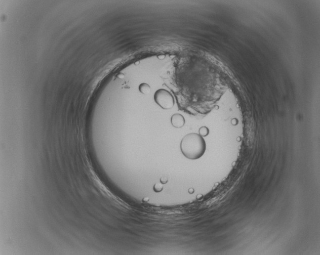 X0000061140629200512161531