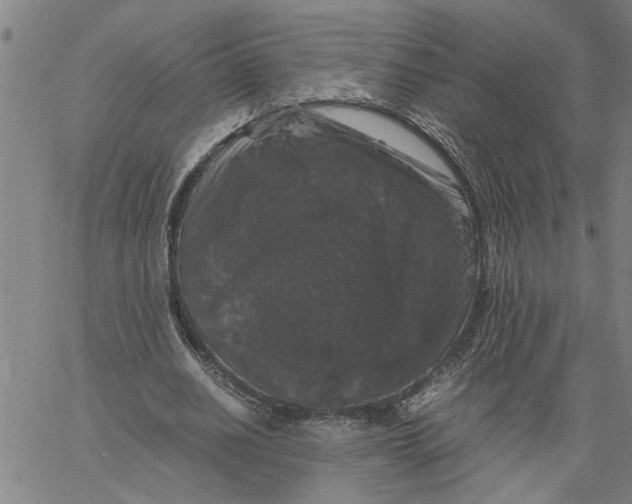 X0000061140630200512161531