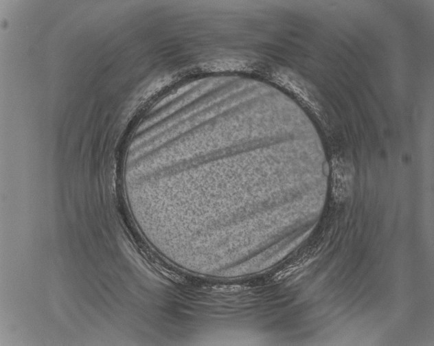 X0000061140631200512161531