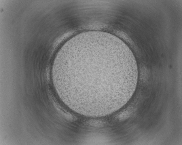 X0000061140632200512161531