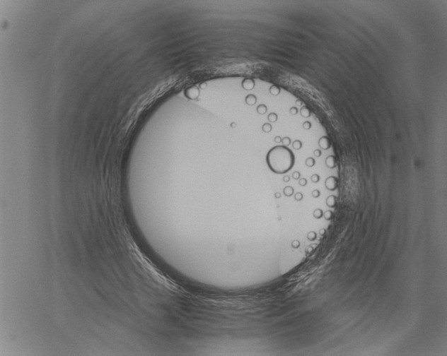 X0000061140633200512161531