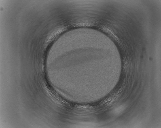 X0000061140635200512161531