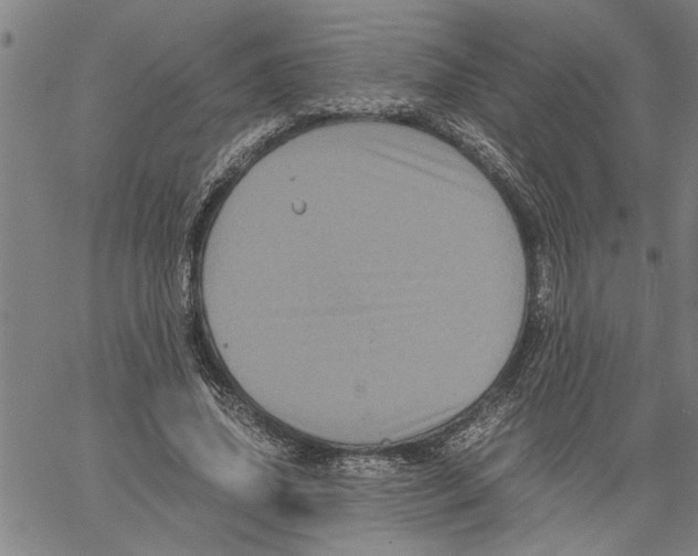 X0000061140636200512161531