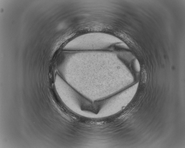 X0000061140638200512161531